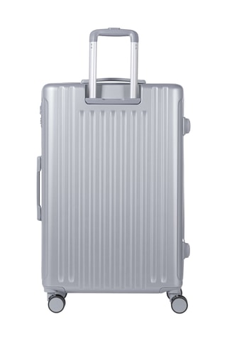 Weekendtrolley (M) Assepoester - Metallic Grijs - 75 cm