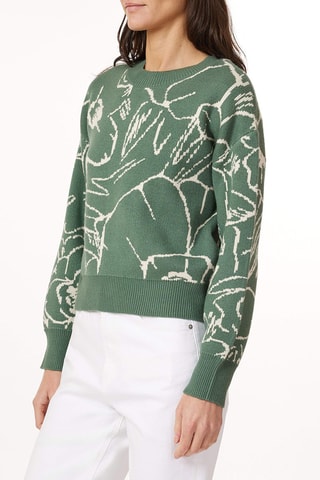Pull - Vert