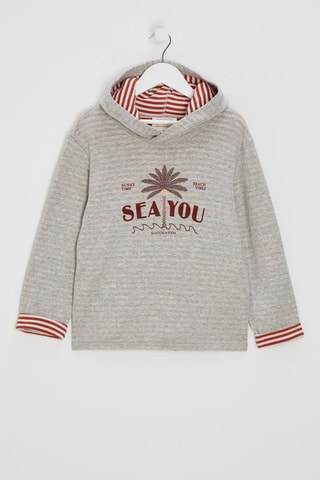 Sweat à capuche - Gris clair
