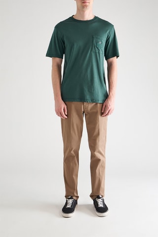 Chino - Camel