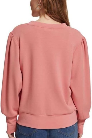 Sweat - Rose