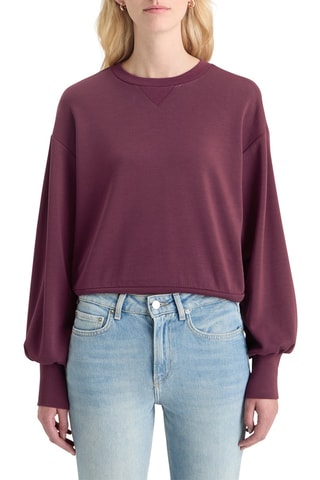 Sweat - Violet