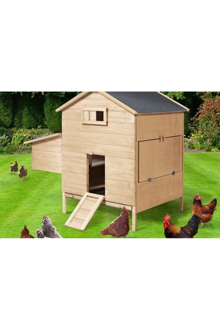 Gallinero de madera con ponedero integrado - De 6 a 10 gallinas