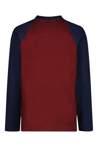 T-shirt - Marrone
