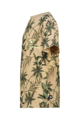 T-shirt - Nero, beige e verde