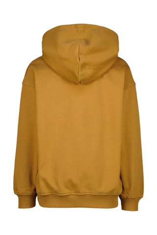 Felpa con cappuccio - Marrone