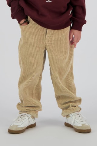 Pantaloni in velluto - Marrone