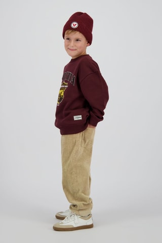 Pantaloni in velluto - Marrone