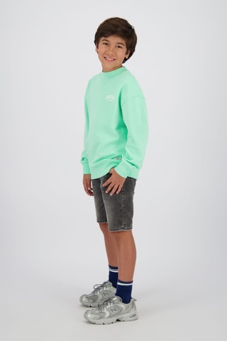 Shorts in jeans - Grigio