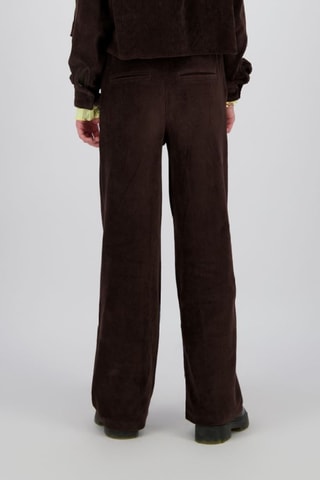 Pantaloni in velluto - Marrone