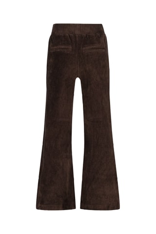 Pantaloni in velluto - Marrone