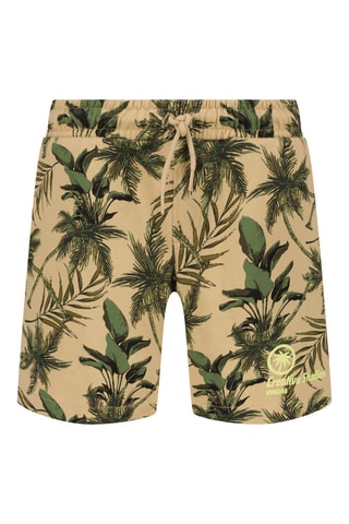 Shorts - Bianco, beige e verde