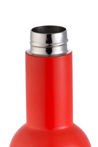 Gourde en acier inoxydable - 550 ml