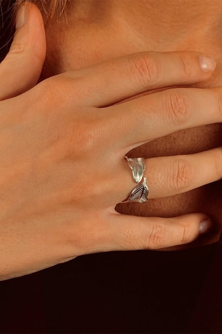 Anillo - Plata