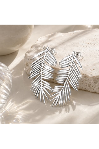 Pendientes - Plata