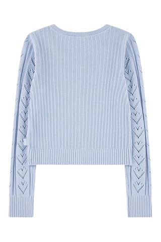 Vest - Blauw