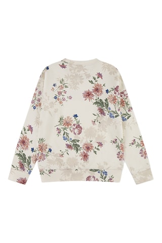 Sweater - Beige