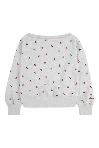 Sweater - Lichtgrijs
