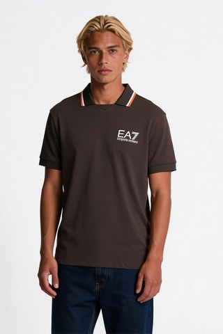 Polo - Marron