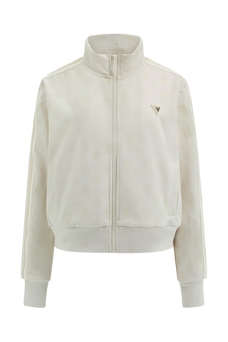 Veste - Gris