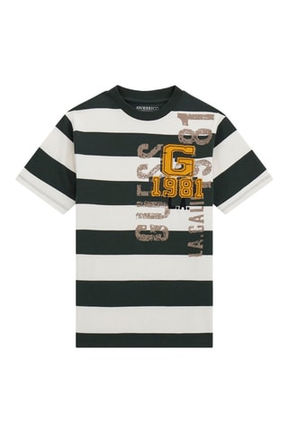 T-shirt - Gris clair et vert foncé