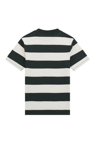 T-shirt - Gris clair et vert foncé