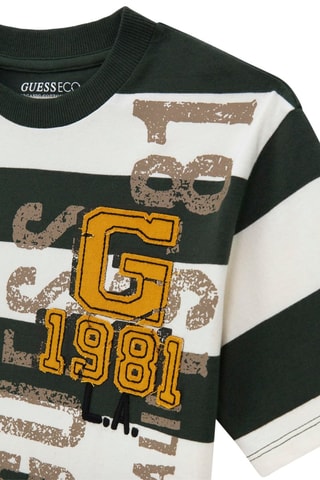 T-shirt - Gris clair et vert foncé