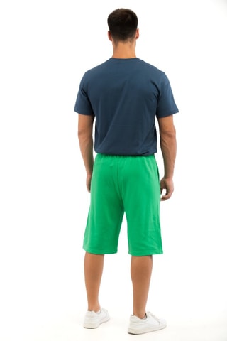 Bermuda - Vert - Blanc et vert