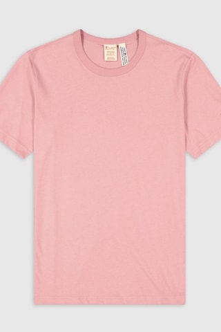 T-shirt - Rose - Bleu et rose