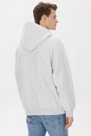 Sweat à capuche - Gris clair chiné - Gris