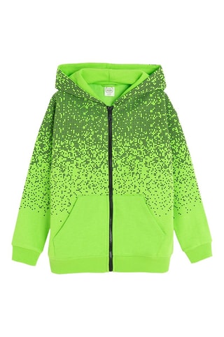 Sweat à capuche - Vert clair