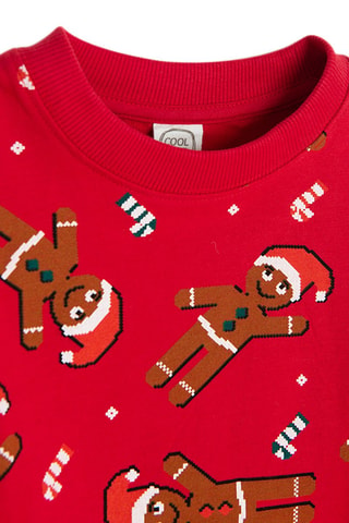 Sweater - Rood
