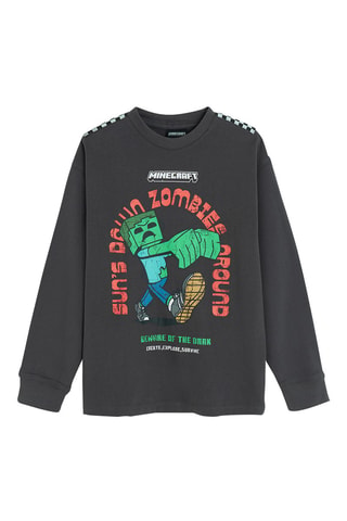 Sweat Minecraft - Vert