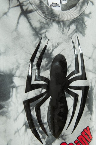 Sweat Spidey et ses amis extraordinaires Marvel - Gris clair