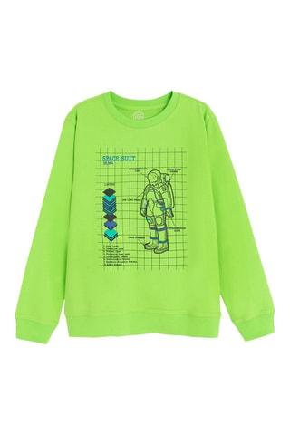 Sweater - Felgroen