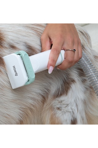 Aspirateur tondeuse pour animaux de compagnie - 300 W