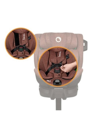 Silla de coche evolutiva Harmony i-Size - De recién nacido a 10 años - Hasta 36 kg - Marrón