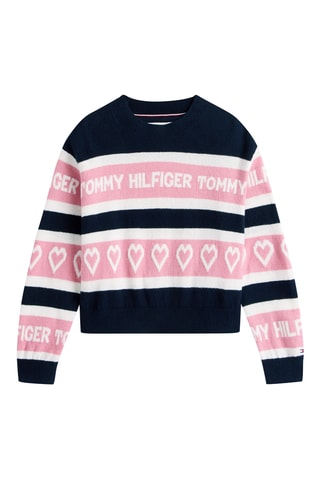 Pull - Bleu marine et rose
