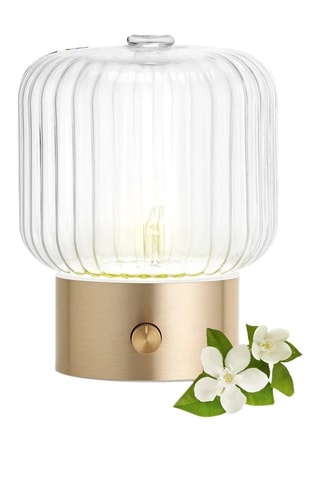 Difusor Nebulização Vera - Dourado e transparente