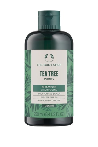 Shampoing Tea Tree - Cheveux et cuir chevelu gras - 250 ml