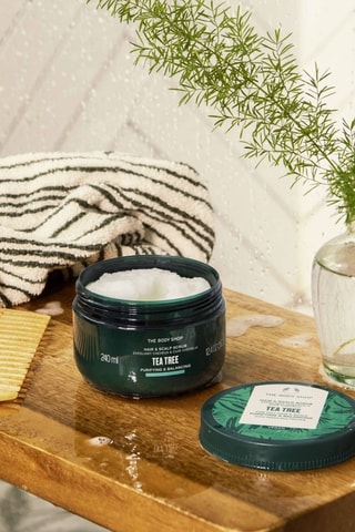 Gommage capillaire purifiant et exfoliant Tea Tree - Cheveux et cuir chevelu gras - 240 ml