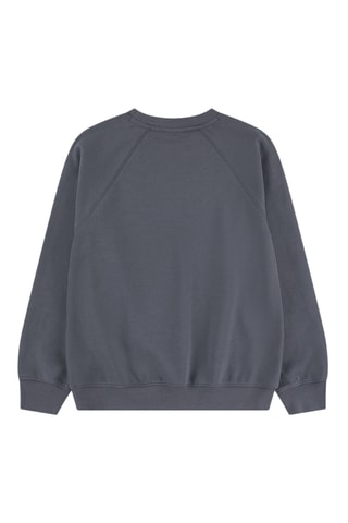 Sudadera Paris Saint - Jordan - Gris oscuro