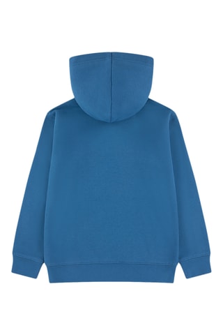 Sudadera con capucha - Jordan - Verde