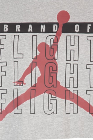 Camiseta - Jordan - Rojo, negro y gris