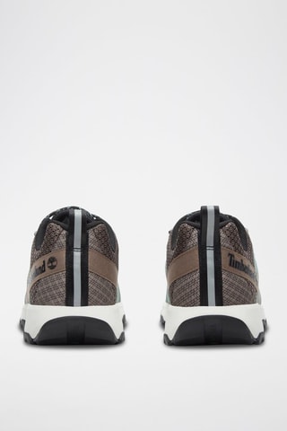 Chaussures de trail - Gris et bleu