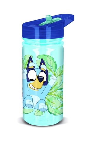 Gourde isotherme Bluey - 47,5 cl
