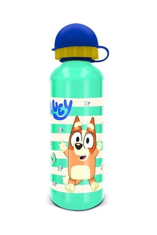 Gourde en acier inoxydable Bluey - 53 cl