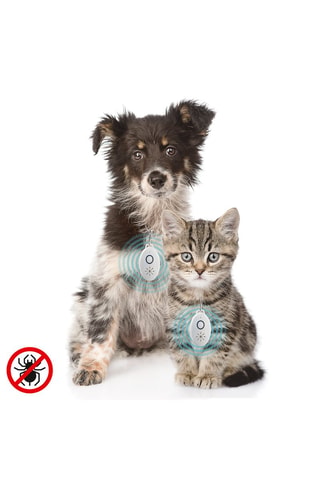 Répulsif anti-nuisible à ultrasons pour animaux