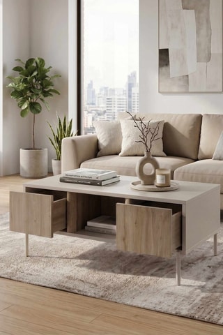 Table basse - 100 x 42 x 60 cm
