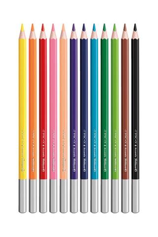 12 crayons de couleurs - Multicolore
